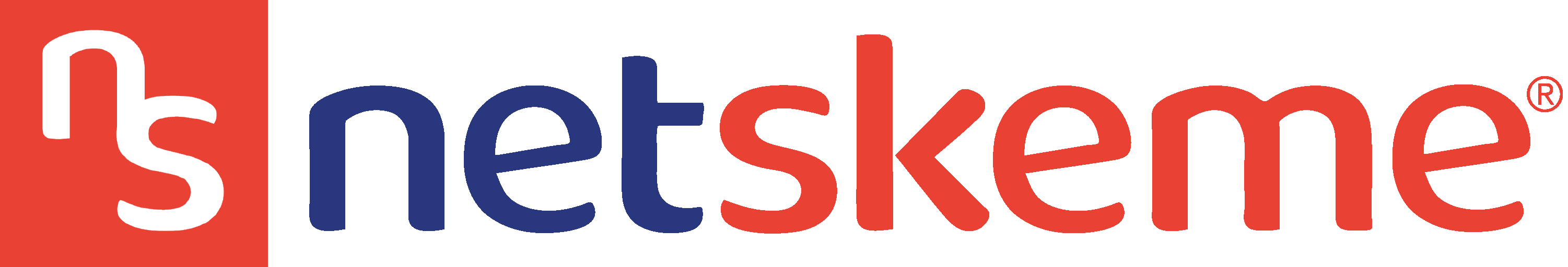NetSkeme Logo